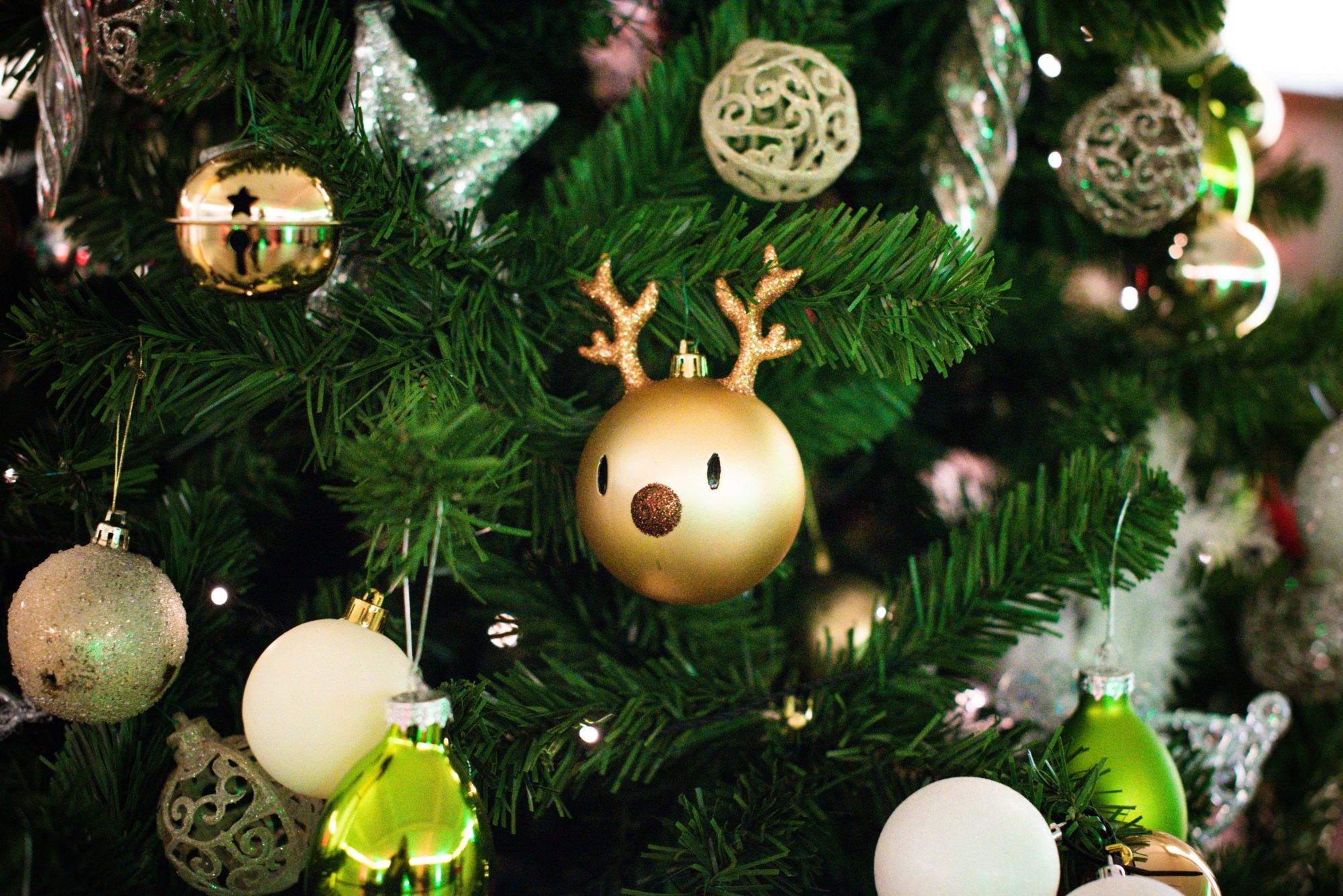 Your Christmas party venue, sorted – University of Birmingham