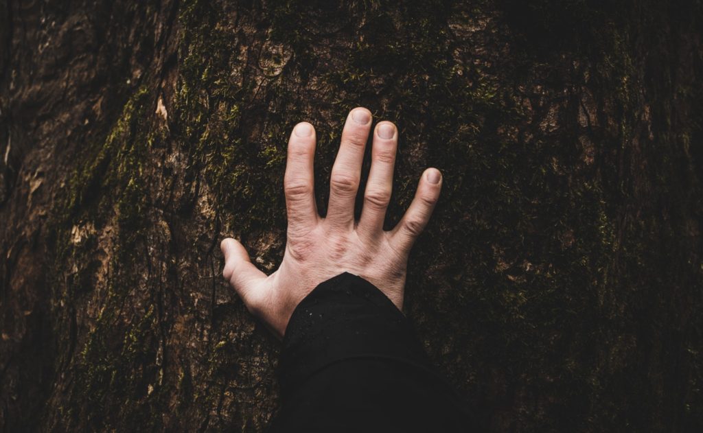 Hand up against a tree