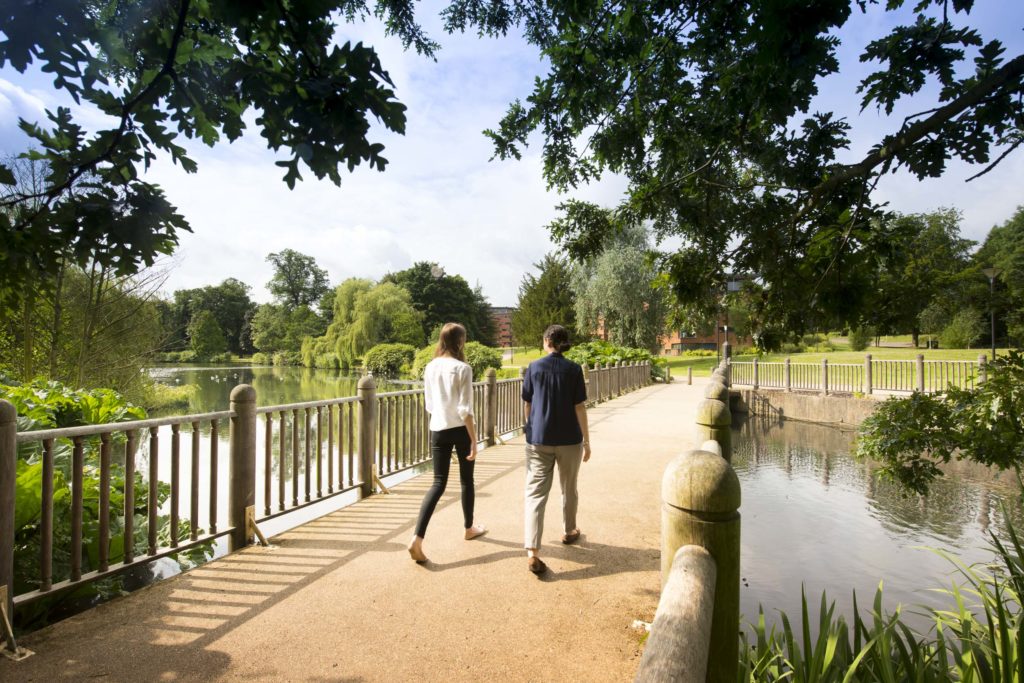 Friends walking through the Vale village