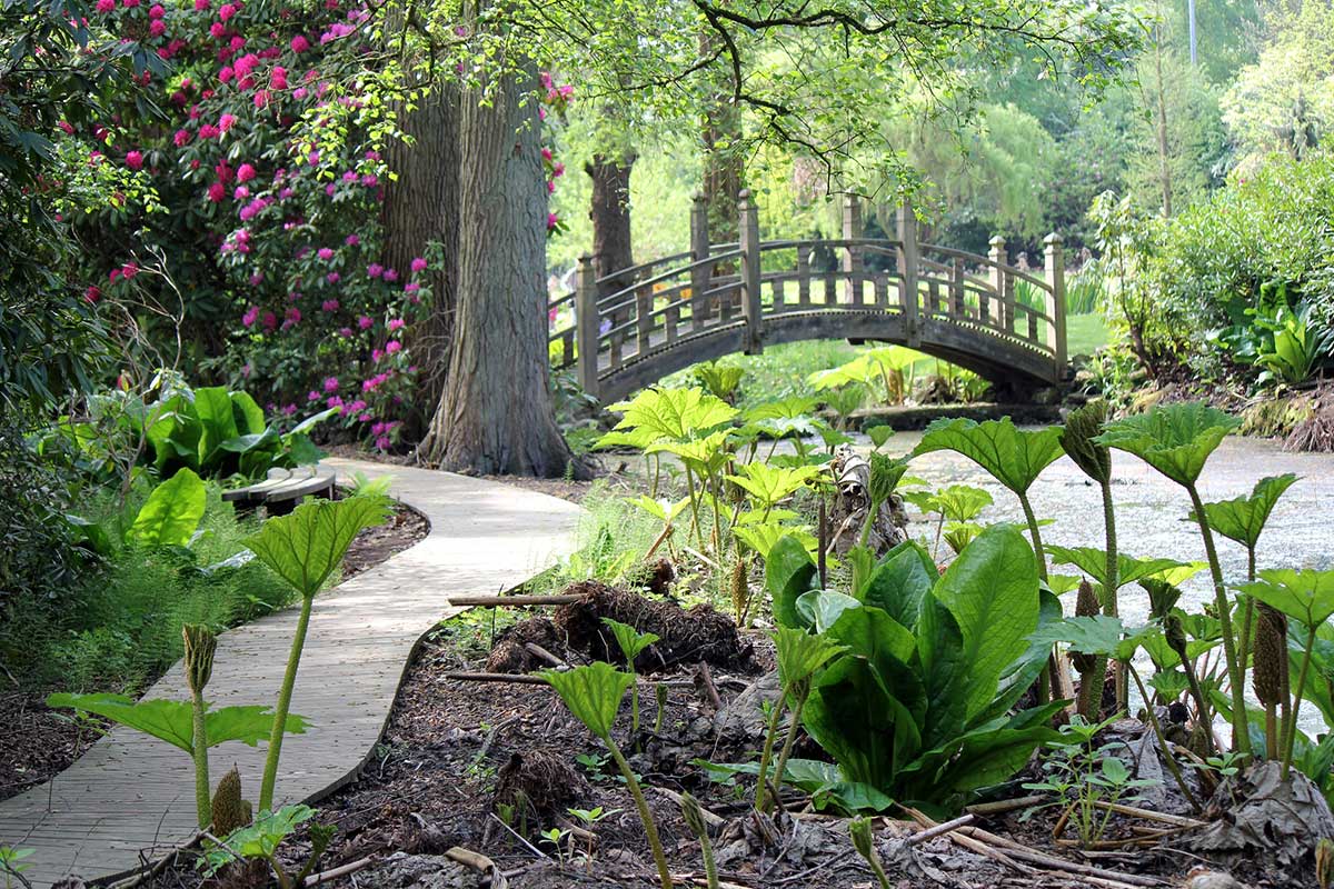 Winterbourne's woodland walk garden