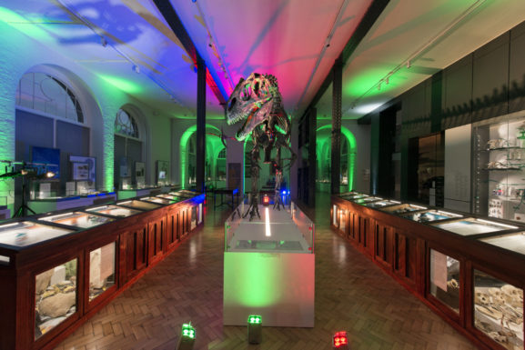 Allosaurus skeleton illuminated b green, purple, red and blue lights in the Lapworth Museum.