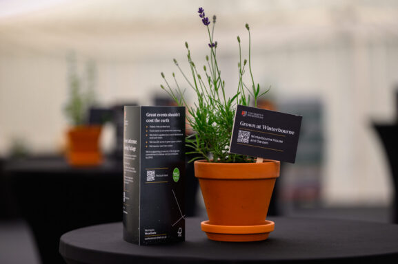 A small green plant next to a brochure